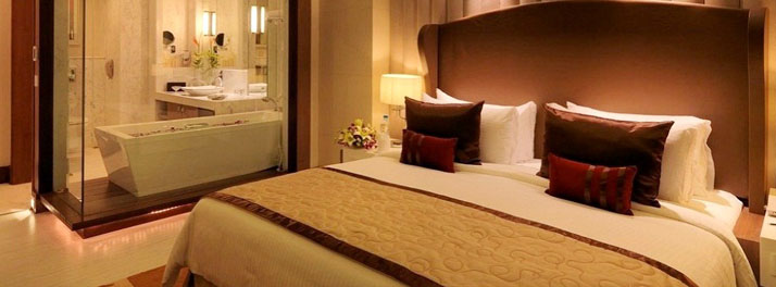 90/Radisson Blu - Agra 10.jpg